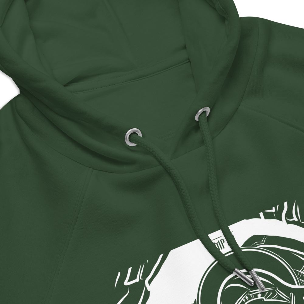 Christmas Blessings / Unisex eco raglan hoodie