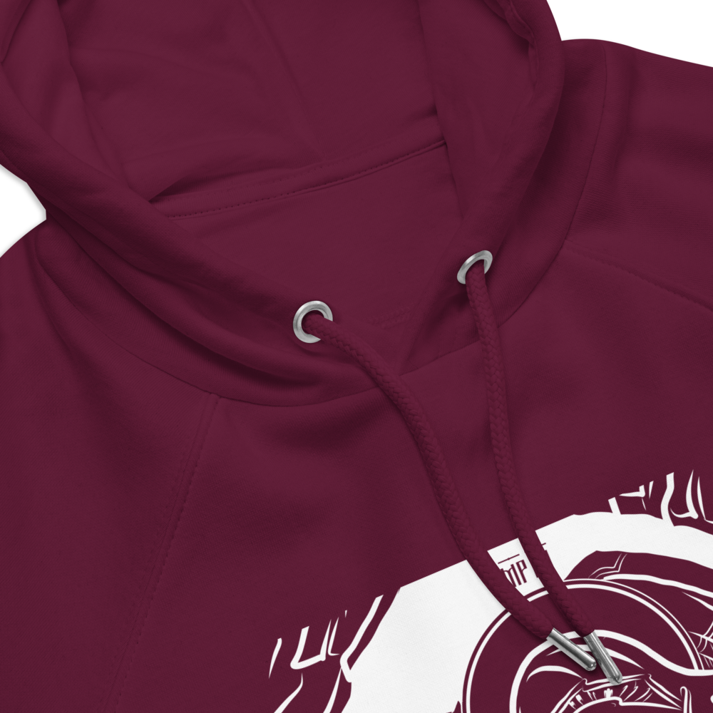 Christmas Blessings / Unisex eco raglan hoodie