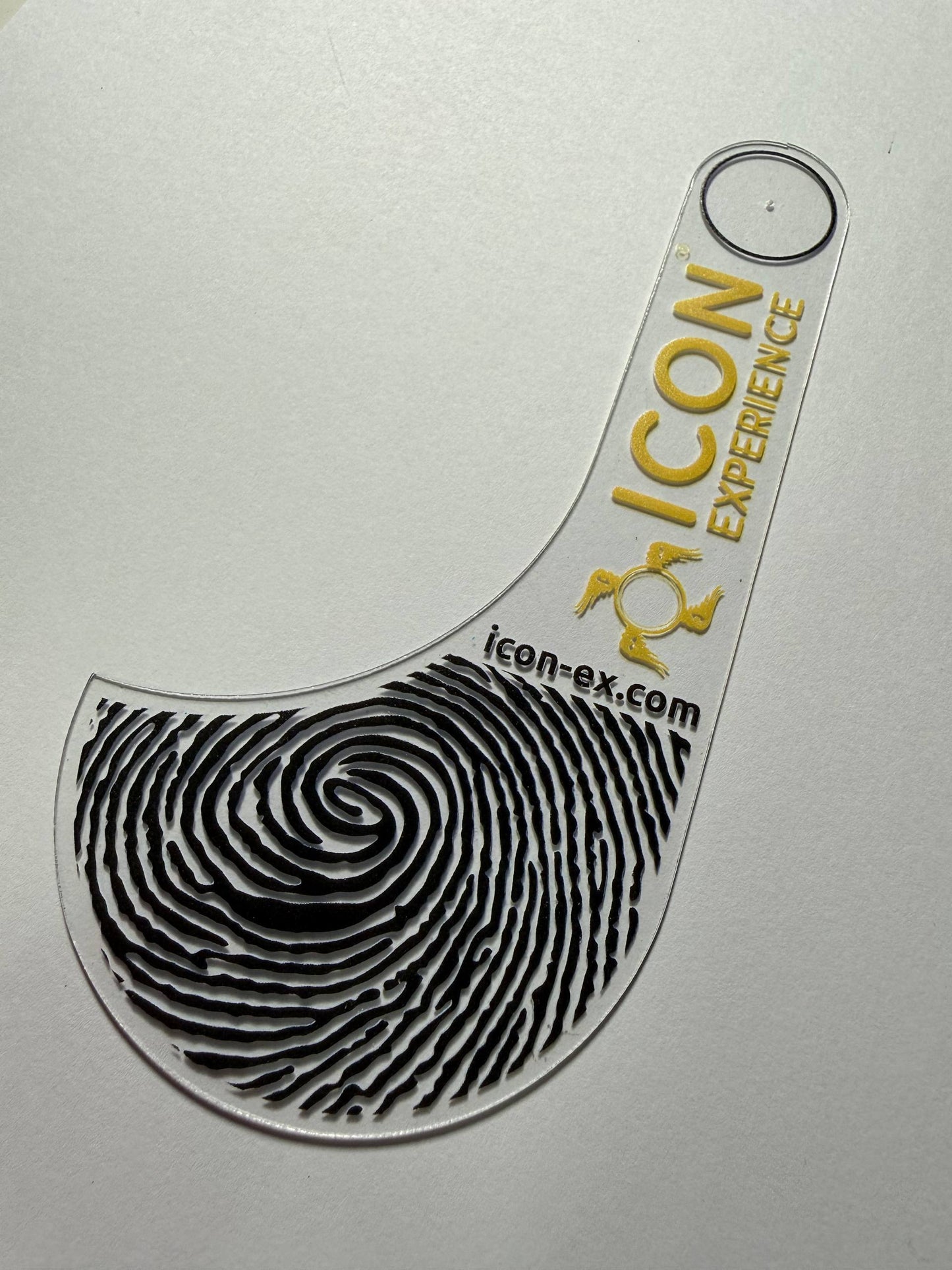 Icon Compass Safe Point