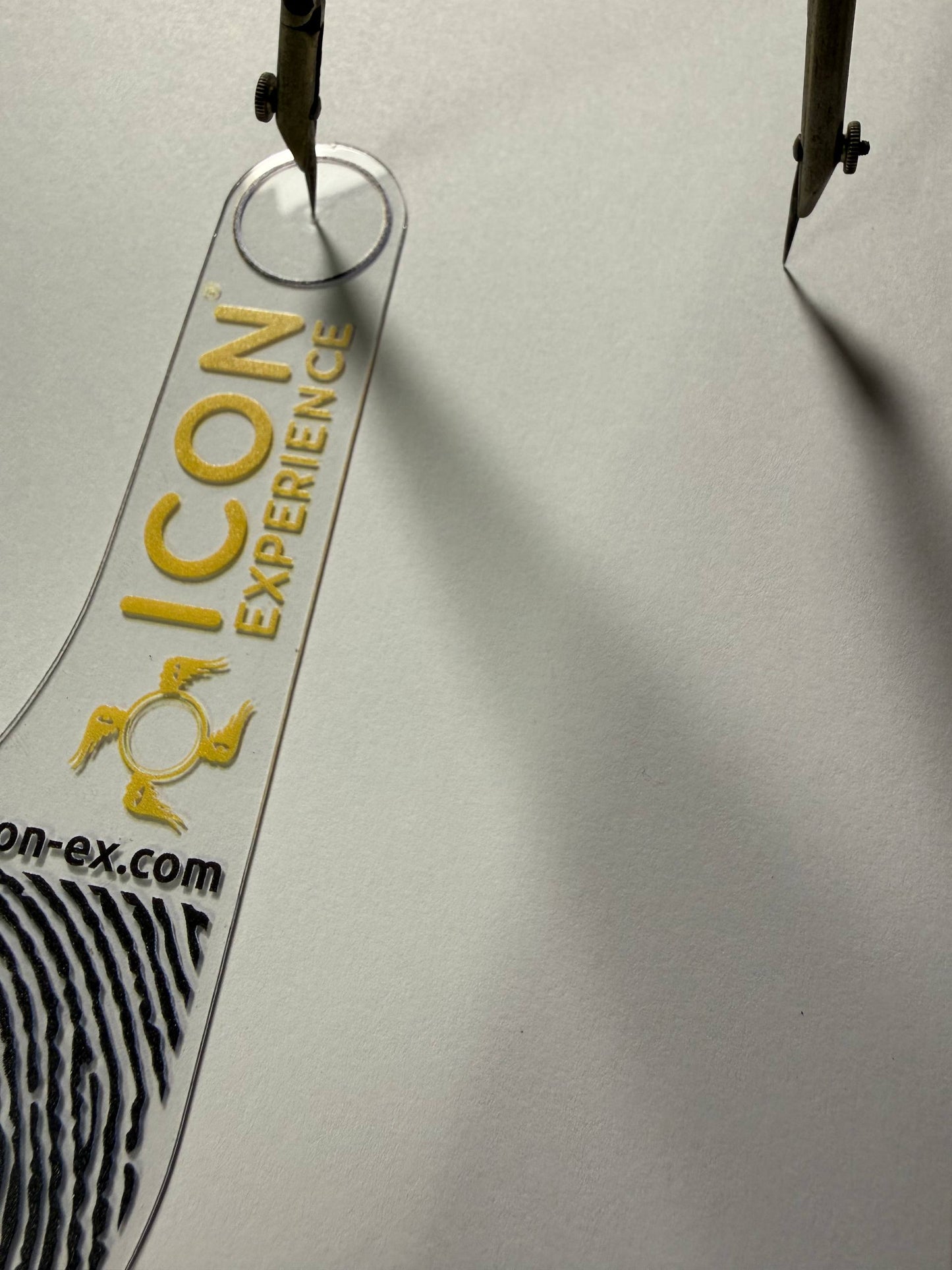 Icon Compass Safe Point