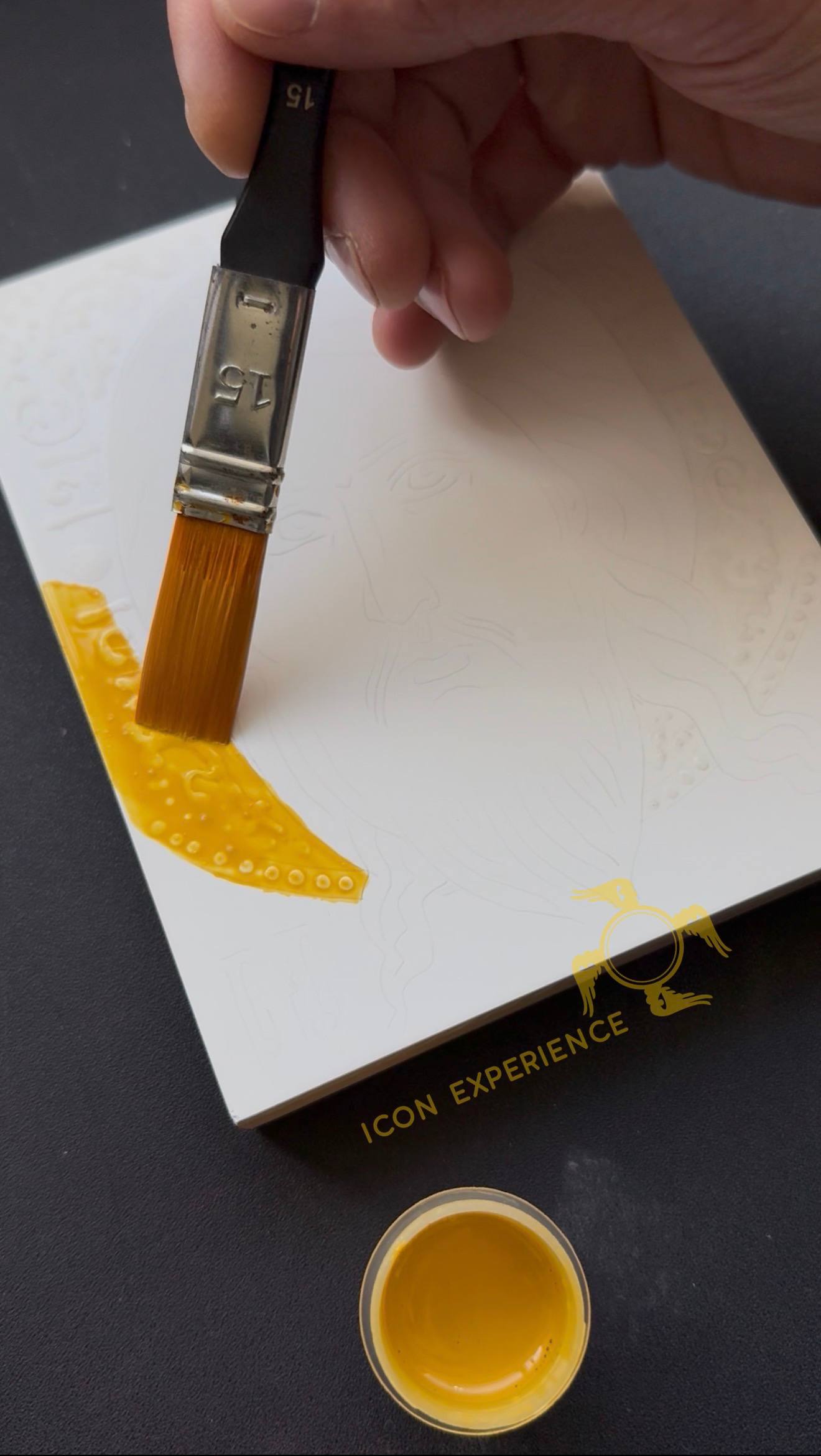 Iconografía para profesionales